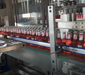 Empacadora Automática Modular de Carga <span class=keywords><strong>Superior</strong></span> para Latas de Ghee con Pinza Mecánica para Botellas y Latas - Product Image 2