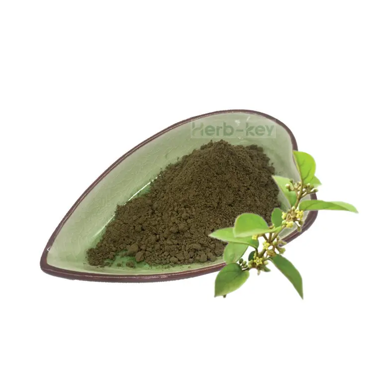 Herb-key Gymnema Extract 25% Gymnemic Acid 75% Gymnema Sylvestre Leaf Extract Powder