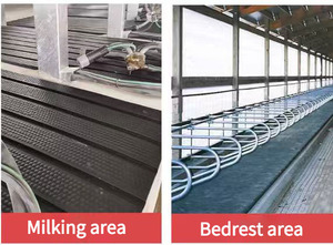 <span class=keywords><strong>Tapis</strong></span> de sol <span class=keywords><strong>anti</strong></span>-<span class=keywords><strong>froid</strong></span> à rétention thermique durable de nouvelle conception Duonik pour les zones d'accueil des animaux - Product Image 4