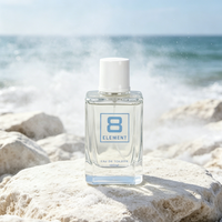Vente en gros de parfum 100 ml, longue tenue, frais, aquatique, eau de toilette, spray naturel, Cologne pour homme