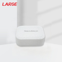 Dosettes de savon détergent de lavage de blanchisserie de parfum de saveur d'OEM
