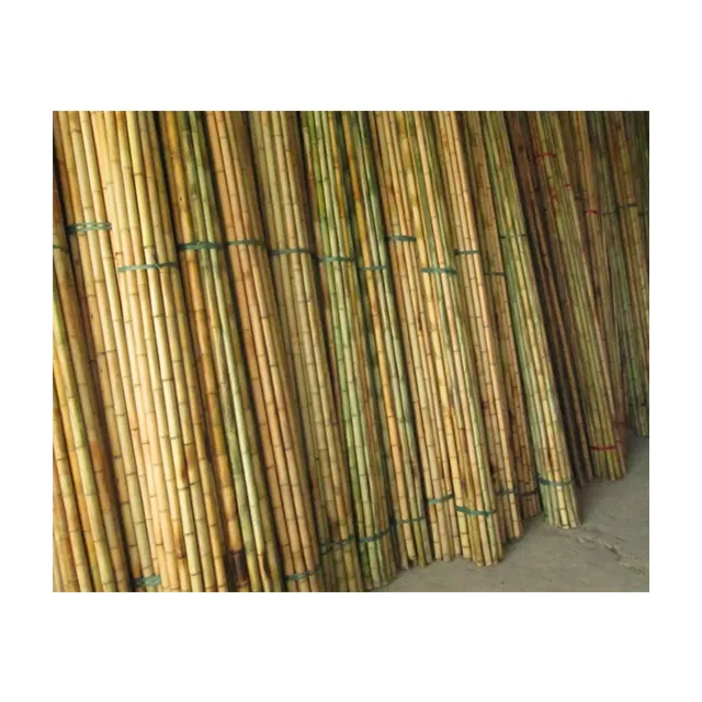 Landbouw Bamboestokken Rew Bambo Polen Canes Stakes Voor Kwekerij Planten Custom Bamboe Hout Materiaal Kaylin + 84 817092069