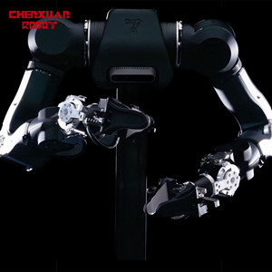 Brazos Robóticos Humanoides con Motor, Diseño <span class=keywords><strong>de</strong></span> Doble Brazo, Accionamiento Servoeléctrico para Investigación <span class=keywords><strong>de</strong></span> IA en el Mundo Físico - Product Image 2