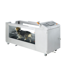 Canine Hydrotherapy Treadmills: Top Models for Dog Rehabilitation