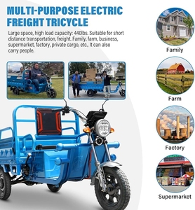 Best Selling 1000W Electric Cargo Tricycle with <b>2</b> <b>Passengers</b> 48V Motorized Three-Wheel Car Available Open Closed Body Types Sale - Product Image 3