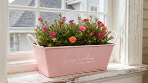 Wholesale Low-Priced French Retro Style Wrought Iron Square Flower Pots Succulent <strong>Planters</strong> for Gardens Courtyards Villas - Product Image 4
