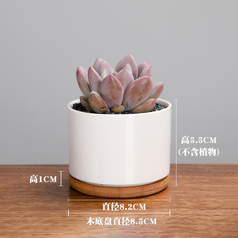 Porcelana blanca grande (Venta caliente)