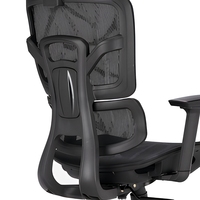 Chaise de bureau ergonomique en maille, pivotante et réglable, avec support lombaire et appui-tête
