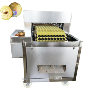 เครื่องแยกเมล็ดเชอร์รี่อัตโนมัติเชิงพาณิชย์คุณภาพสูง ขายตรงจากโรงงาน - Product Image 6