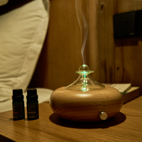 Diffuseur d'arômes électrique à commande par bouton rotatif de 25 ml, nébuliseur d'huiles essentielles