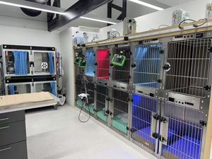 Proveedores de jaulas para mascotas de acero inoxidable, jaula para mascotas de capa, casa, Veterinario de animales y bancos de jaulas para perros y veterinarios - Product Image 5
