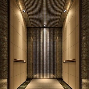 Ascensor Residencial Hidráulico Moderno de Acero Inoxidable Personalizado de 2-5 Pisos, Capacidad de 400 kg, Seguro y Duradero para Uso en Interiores/Exteriores - Product Image 4