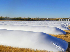 Sacs en polyéthylène robustes pour ensilage, 10 pieds sur 200 pieds de long, 9 mils d'épaisseur - Product Image 5