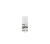 Kit de préparation de bibliothèque NGS Quick 16S Plus V4 pour la séquençage du microbiome 16S RRNA, préparation de bibliothèque Illumina par PCR en une étape