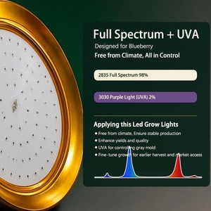 Lampe de culture LED pour myrtilles, spectre complet 50W, UFO, ampoule E27 avec UVA pour la culture intérieure des myrtilles et des fraises - Product Image 2