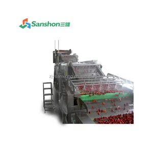 Sanshon Industrial Use Stainless Steel Waterfall Cleaning Machine for Raisin Sun-dried Grape currant raisin cordial