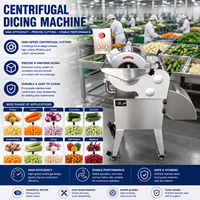 Automatische fruit- en groentesnijmachine voor de verwerking van appel, mango, komkommer, wortel en wortelgewassen