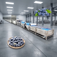 Mesin Pencuci dan Pengupas Blueberry, Mesin Pencuci dan Pengupas Blueberry Tipe Sikat, Mesin Pencuci Buah dan Sayuran