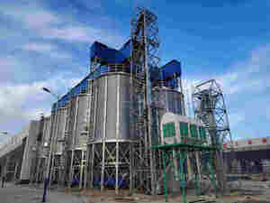 Silo de alto estándar para trigo TCZK 100T 500T 600T 1200TSteel Hopper Bottom Rice Bran Silos - Product Image 5