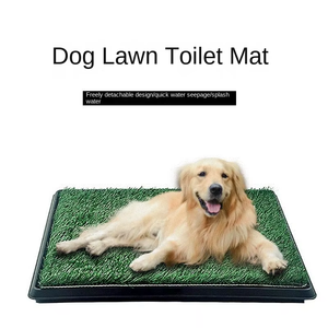 Chine Usine Portable Écologique En Plastique Merde Tapis Artificiel Chien Herbe Tapis Pet Pot Chien Pot Herbe avec Plateau pour Chiens - Product Image 3