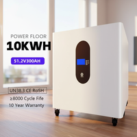 Batería de Litio LiFePO4 para Almacenamiento de Energía Solar de 51.2V, 400Ah, 300Ah, 20kWh, 15kWh, 10kWh, con BMS, de Pie, CAN, Garantía de 8 Años, Todo en Uno, MSDS