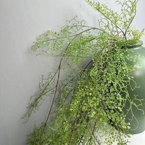Plante artificielle en vigne florale royale Donghui du quartier de Tianhe, 200 cm, en plastique noir, pour décoration de mariage et de maison - Product Image 4
