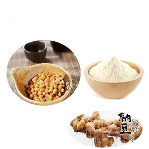 Органический натуральный экстракт наттокиназы порошок - Product Image 1