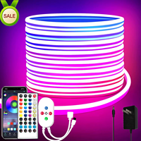 Offre Spéciale 1 Cm Cut 5M 10M 50M 100M Ip67 RGB Rgbic Silicone Led Neon Light Strip 12V 24V 220V Flexible Soft Led Neon Flex