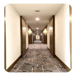 <span class=keywords><strong>Tapis</strong></span> mur à mur Wilton pour <span class=keywords><strong>tapis</strong></span> d'hôtel de luxe et <span class=keywords><strong>tapis</strong></span> de <span class=keywords><strong>couloir</strong></span> d'hôtel de luxe - Product Image 3