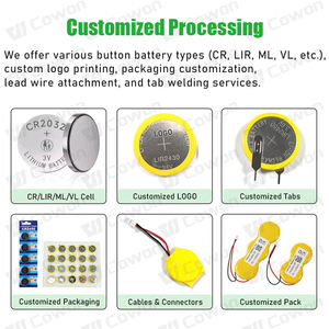 بطارية زر ليثيوم مغنيسيوم ثاني أكسيد ESL CR2450 3 فولت عبوة من قطعتين لنظام بطاقات الأسعار الرقمية هانشو وملصقات الرفوف الإلكترونية - Product Image 3