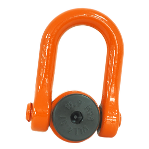 Le filetage RD24 tourne le point de <span class=keywords><strong>levage</strong></span> en acier allié 42 crmo demandé - Product Image 1