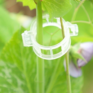 Clip de fixation en plastique pour plantes de serre agricoles, petite taille, boucle douce qui n'endommage pas le tige pour <span class=keywords><strong>tomates</strong></span> et poivrons suspendus - Product Image 2