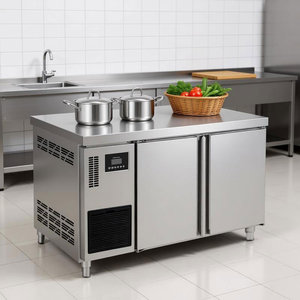 Congélateur horizontal commercial, réfrigérateur autonome, refroidissement par air, 260L - Utilisation professionnelle pour les restaurants et cuisines - Product Image 6