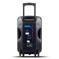 Enceinte DJ professionnelle active sur chariot Temeisheng 12 pouces A12-1 avec éclairage de fête, alimentée par batterie 12V 6600mAh