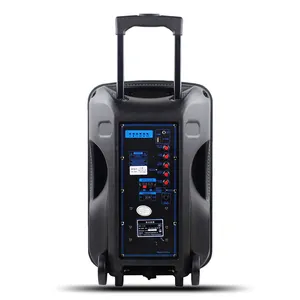 120W 12V6600mAh Batterij Aangedreven A12-1 Temeisheng 12 Inch Actieve Party Professionele DJ Trolley Luidspreker met Party Licht