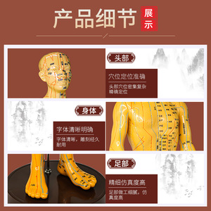 Modelo de Acupuntura Huayikang, Cuerpo Humano de PVC para Enseñanza Médica con Brazos Giratorios - Product Image 3
