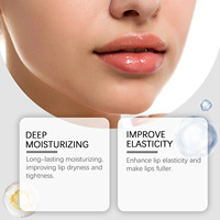 Dropshipping OEM Gloss à lèvres repulpant, huile à lèvres hydratante et nourrissante pour le soin des lèvres sèches