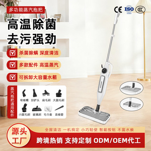 Steam Mop Cleaner Electric With Detachable Head 701Ml Water Tank Rectangle Chassis - Product Image 2
