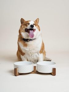 Dupla 3-Cup Tigelas de cerâmica para cães pequenos médios Bonito Design elevado Acácia Wood Stand Non-Slip Anti-Tip Food Water <span class=keywords><strong>Bowl</strong></span> Set - Product Image 2