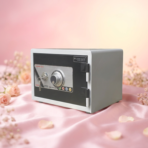 The LION LNS-31C is a high-security safe model featuring a Korean <b>lock</b>. - Product Image 6