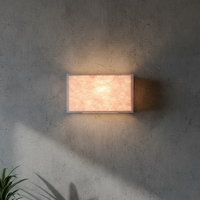 Panneau mural décoratif intérieur en PETG semi-transparent léger rose, imperméable, personnalisable pour plafond et salle de sport