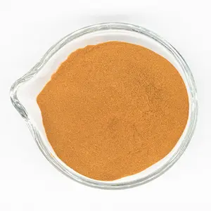 Curcuma Longa Powder /Curcuma Powder