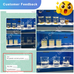 중국 공장 가격 폴리 알루미늄 염화물 PAC 분말 30% 순도 물 처리 화학 25 kg/가방 산업 음주 - Product Image 6