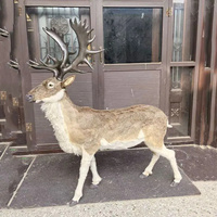 Grands modèles réalistes de rennes et d'élan artificiels pour décorations de Noël intérieures, modèles d'animaux cerf Sika pour exposition