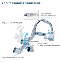 2.5X 3.5X loupes dentaires lampe LED pour grossissement loupes binoculaires 5W lumière dentiste phare chirurgical