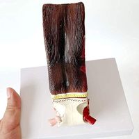 Modelo de Disección de Oído Canino para Enseñanza Médica, Recursos Didácticos de la Estructura Interna de los Órganos Caninos
