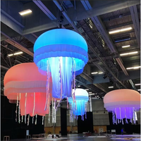 Modèle gonflable géant en gros Led Flying Decoration Giant Lighting Tropical Inflatable Fish With Led