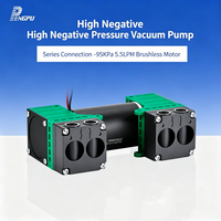 PENGPU G6BL-2 Pompe à vide à diaphragme sans balais à micro-pression négative 12V/24V -95KPa