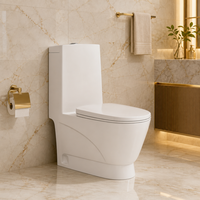 WC monobloc en céramique le plus vendu avec design en forme d'aile et abattant à fermeture douce pour salle de bain moderne – Articles sanitaires