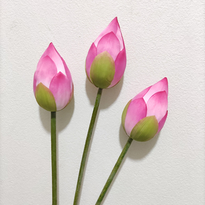 Nuovi affascinanti fiori <span class=keywords><strong>di</strong></span> loto artificiale finto bocciolo <span class=keywords><strong>di</strong></span> loto fiori decorativi <span class=keywords><strong>di</strong></span> <span class=keywords><strong>ninfea</strong></span> <span class=keywords><strong>di</strong></span> seta - Product Image 4